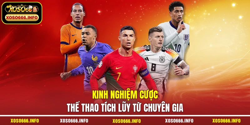 Kinh nghiệm cược thể thao tích lũy từ chuyên gia