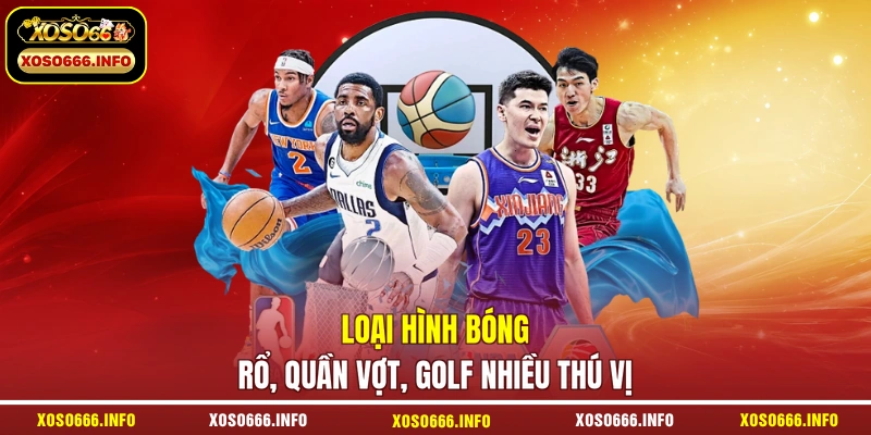Loại hình bóng rổ, quần vợt, golf nhiều thú vị